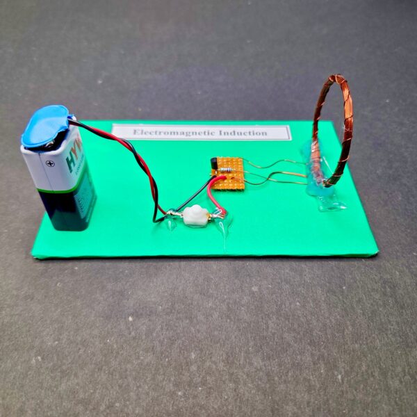 Electromagnetic Induction Working Model - Image 3